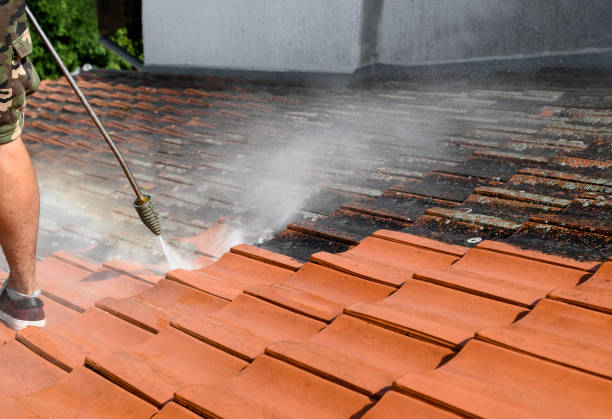 Garage Pressure Washing in Mount Prospect, IL