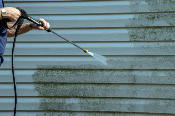 Pressure Washing Contractors in Mount Prospect, IL