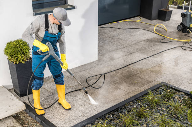 Best Deck Cleaning Services  in Mount Prospect, IL