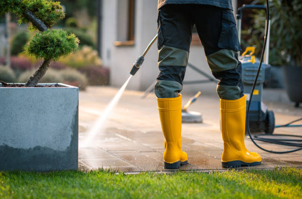 Best Sidewalk Pressure Washing  in Mount Prospect, IL
